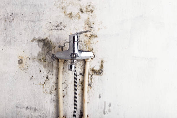 Best Office Mold Removal Services  in Baywood Park, CA