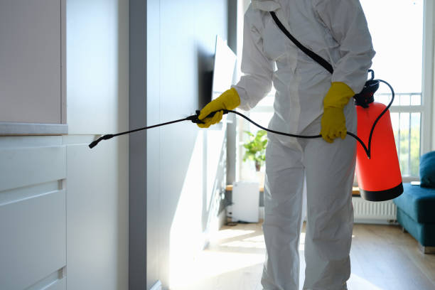 Mold Removal and Inspection in Baywood Park, CA